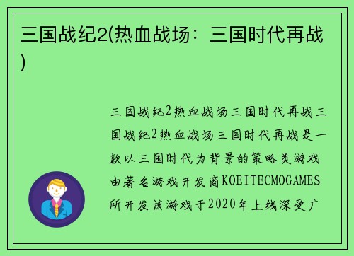 三国战纪2(热血战场：三国时代再战)